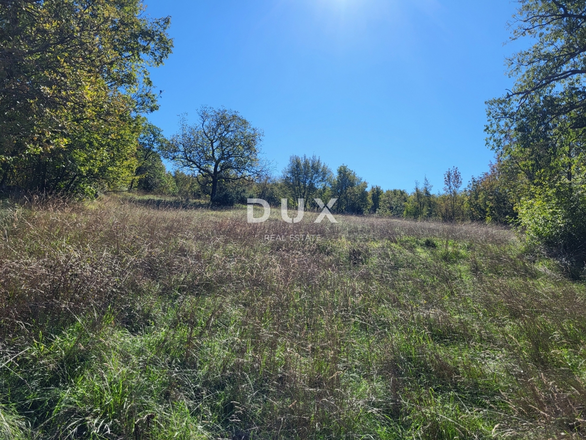 ISTRIA, BOLJUN - Due case indipendenti in pietra con 18.000 m2 di terreno