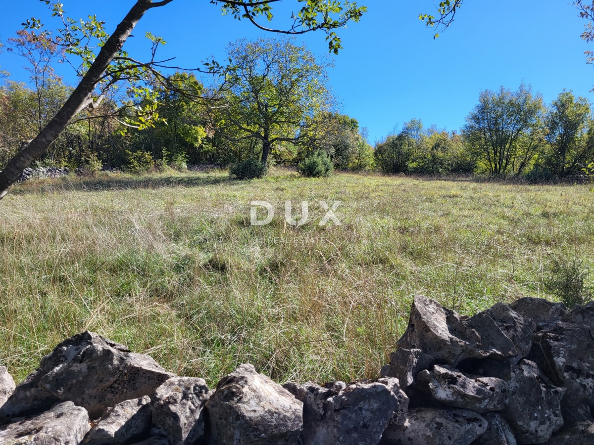 ISTRIA, BOLJUN - Due case indipendenti in pietra con 18.000 m2 di terreno