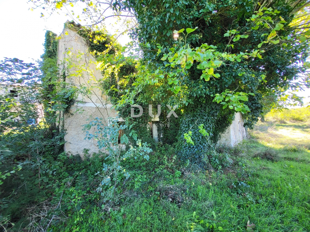 ISTRIA, BOLJUN - Due case indipendenti in pietra con 18.000 m2 di terreno