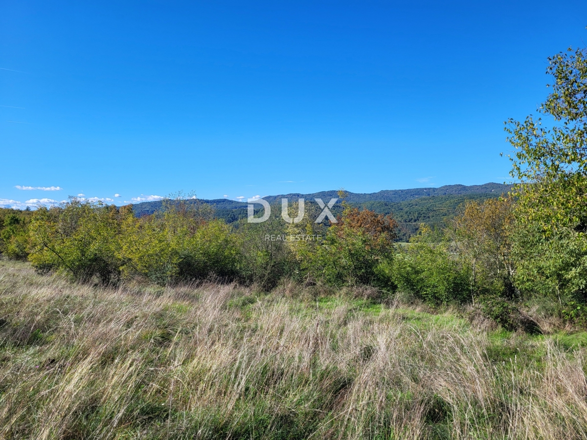 ISTRIA, BOLJUN - Due case indipendenti in pietra con 18.000 m2 di terreno