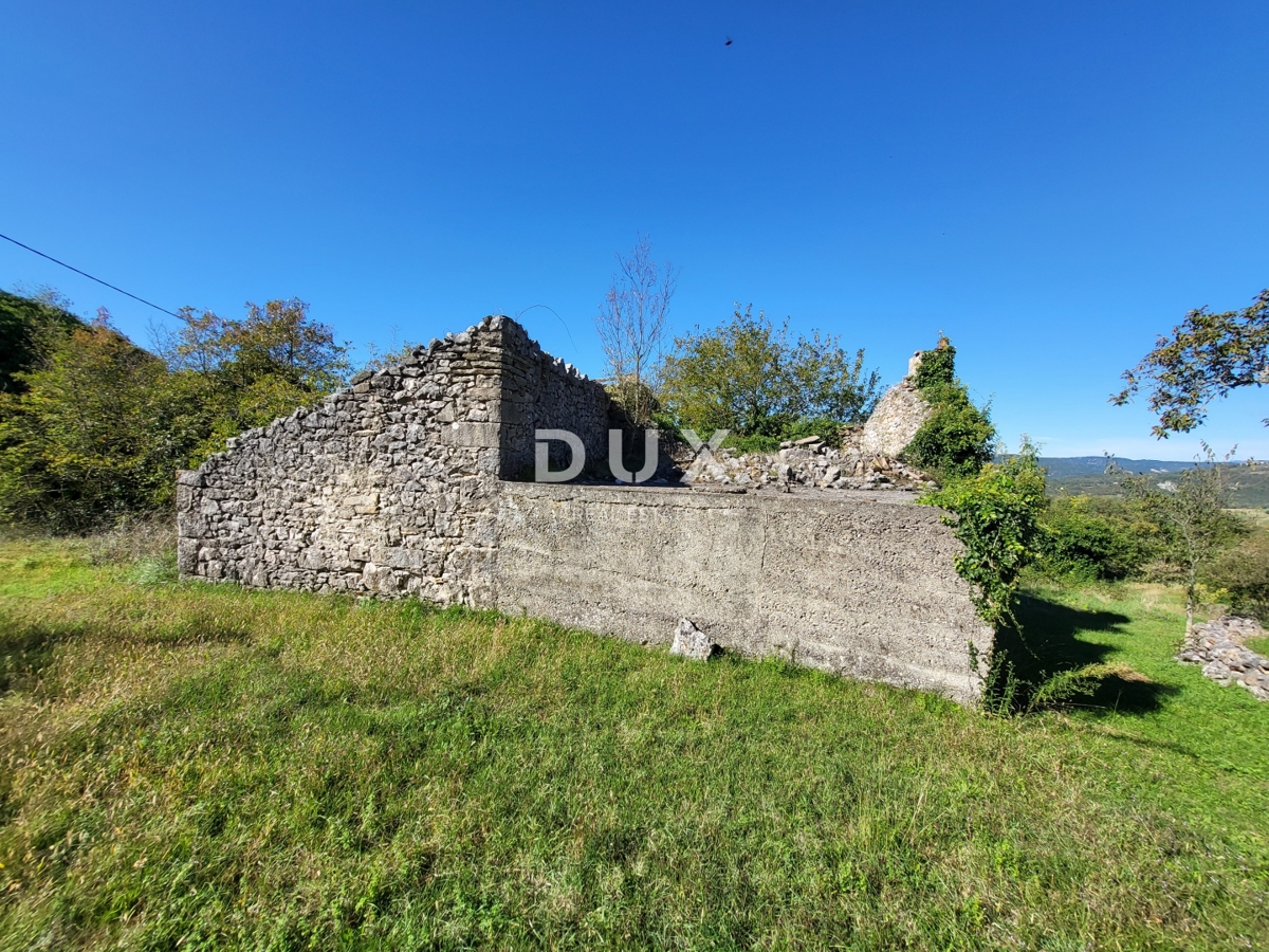 ISTRIA, BOLJUN - Due case indipendenti in pietra con 18.000 m2 di terreno