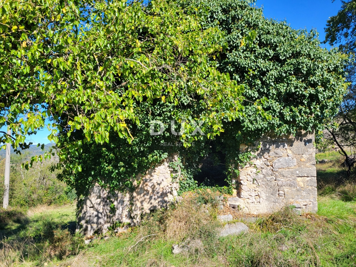 ISTRIA, BOLJUN - Due case indipendenti in pietra con 18.000 m2 di terreno