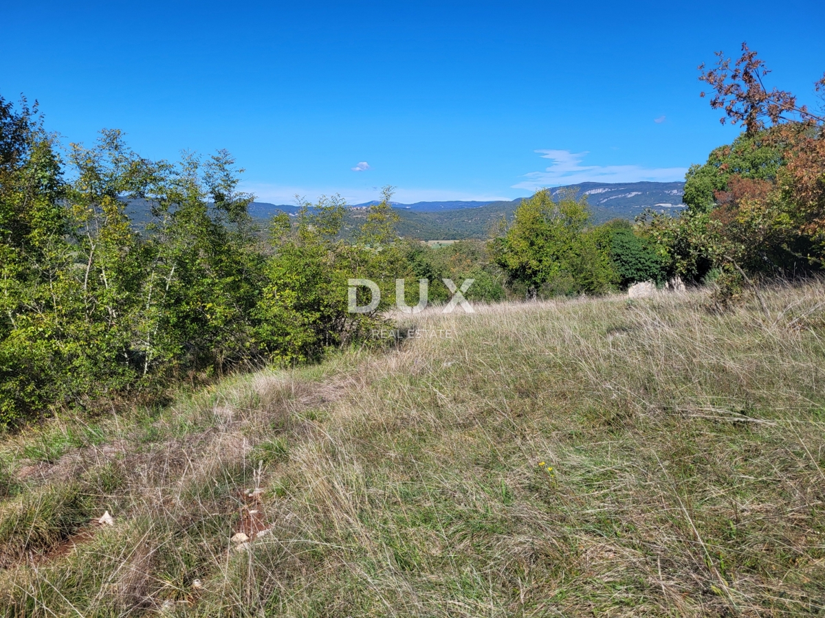 ISTRIA, BOLJUN - Due case indipendenti in pietra con 18.000 m2 di terreno