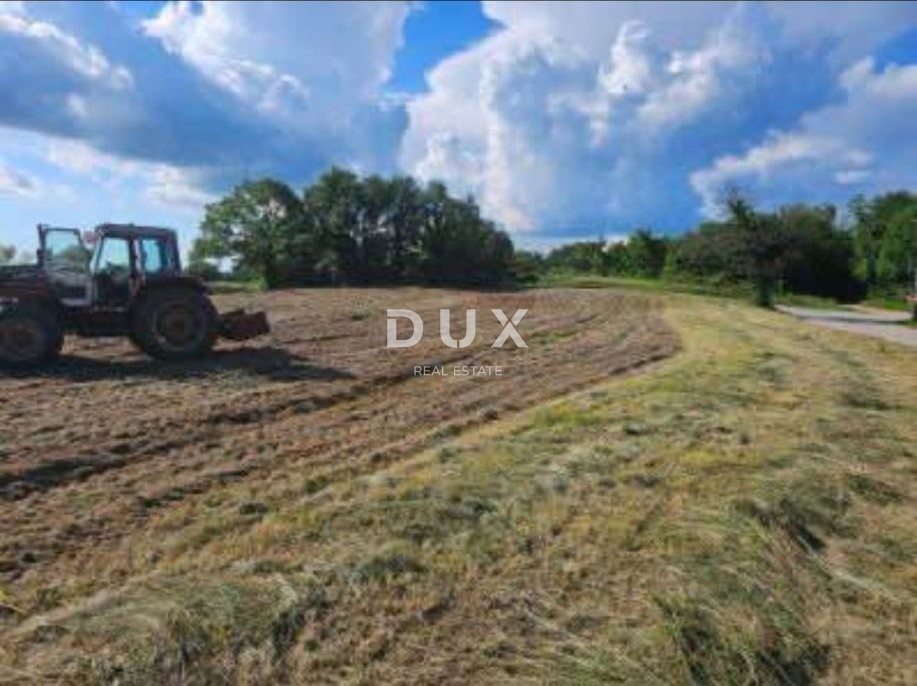 ISTRIA, ŽMINJ – Terreno edificabile 1.410 m² in posizione tranquilla