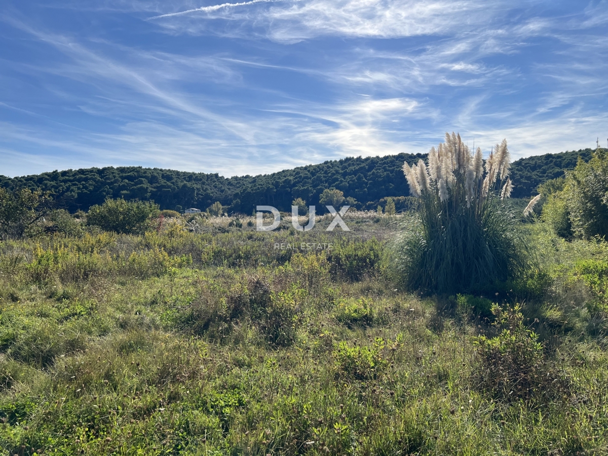 ISOLA DI RAB, KAMPOR – terreno edificabile a 500 m dal mare