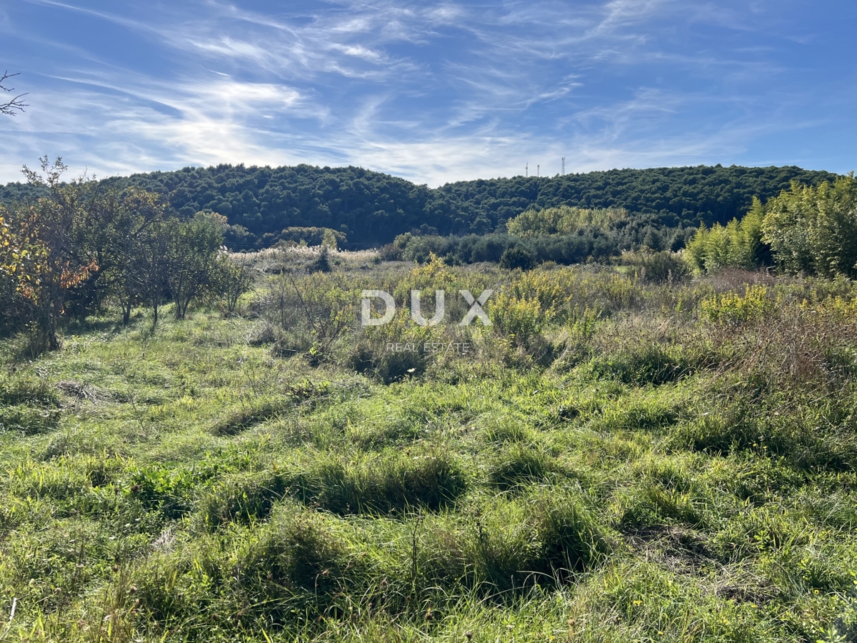 ISOLA DI RAB, KAMPOR – terreno edificabile a 500 m dal mare