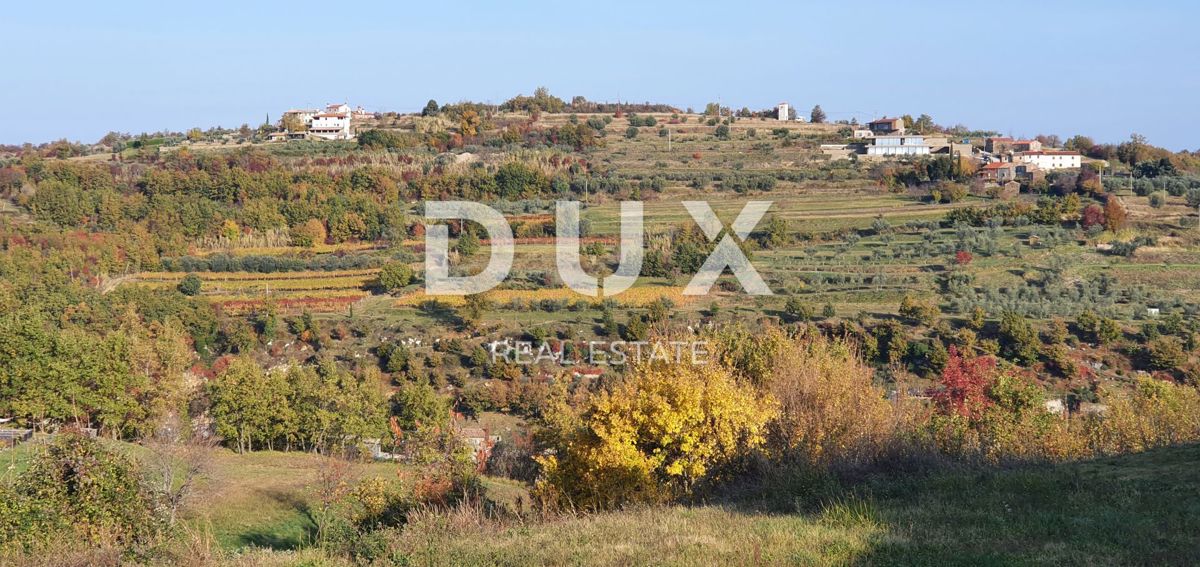 ISTRIA, MOMJAN – Terreno edificabile con vista e costruzioni in pietra