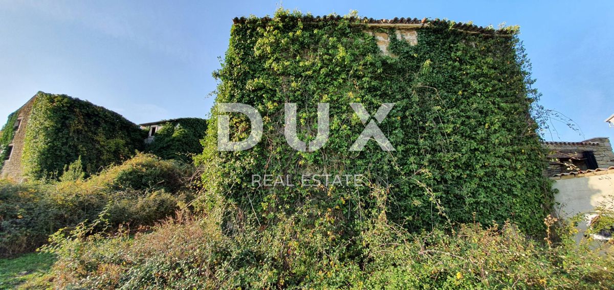 ISTRIA, MOMJAN – Terreno edificabile con vista e costruzioni in pietra
