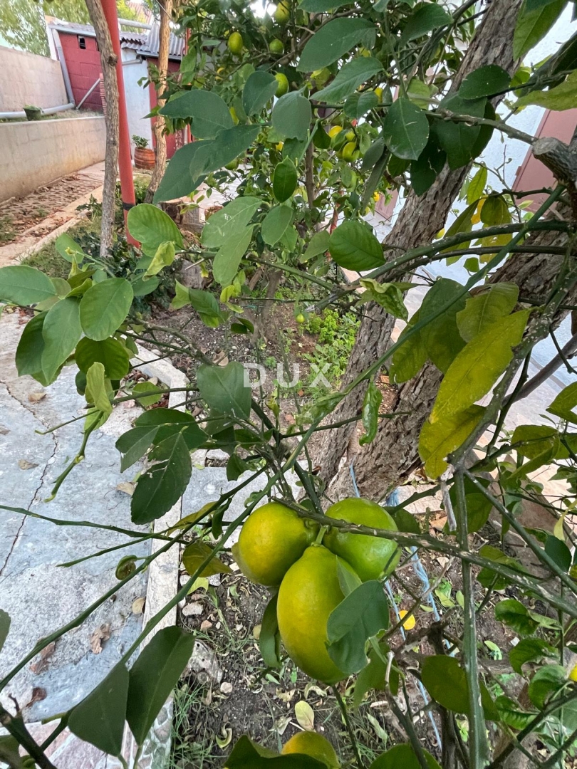 Casa Tinj, Benkovac, 275m2