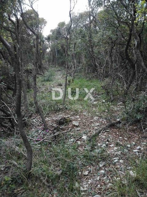 ISTRIA, RAKALJ - Terreno prima fila al mare