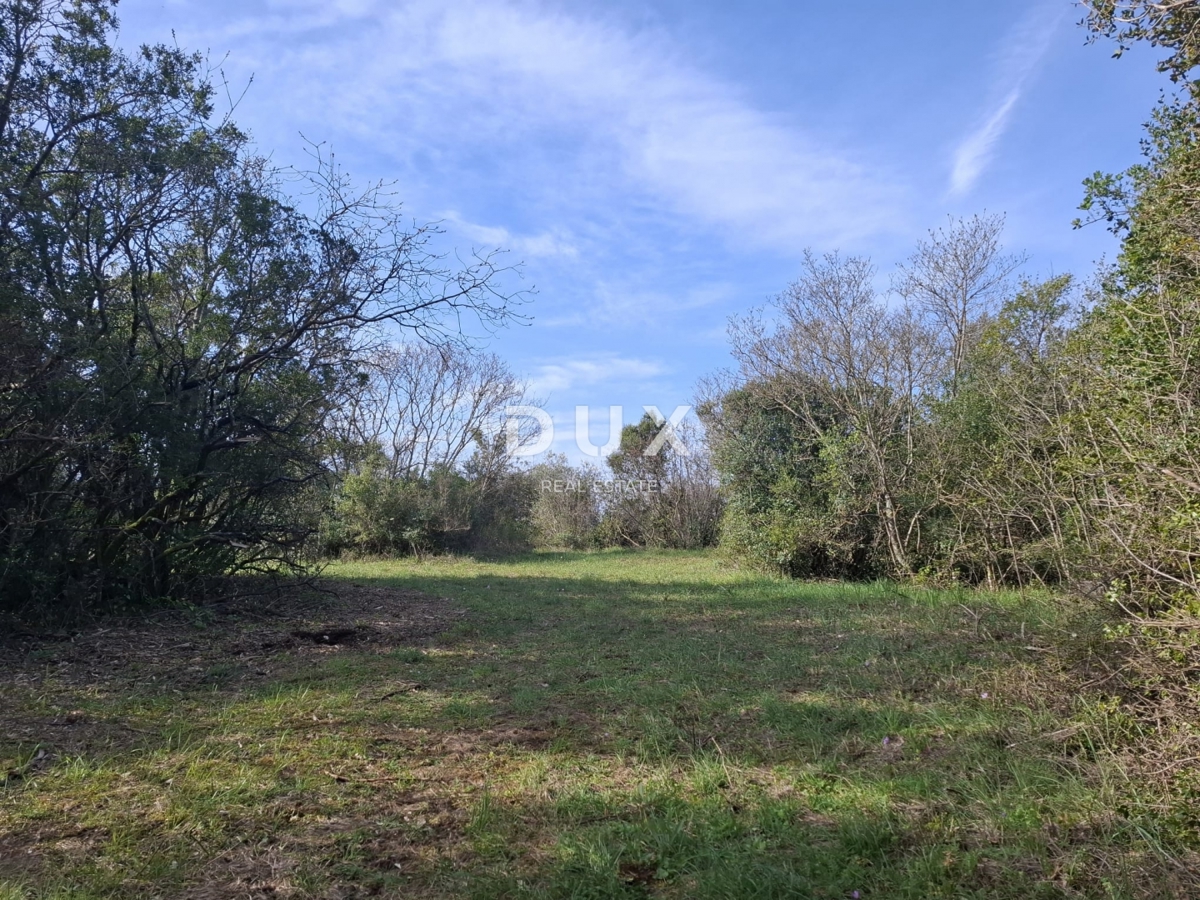 ISTRIA, ROVIGNO - Terreno agricolo vicino al mare