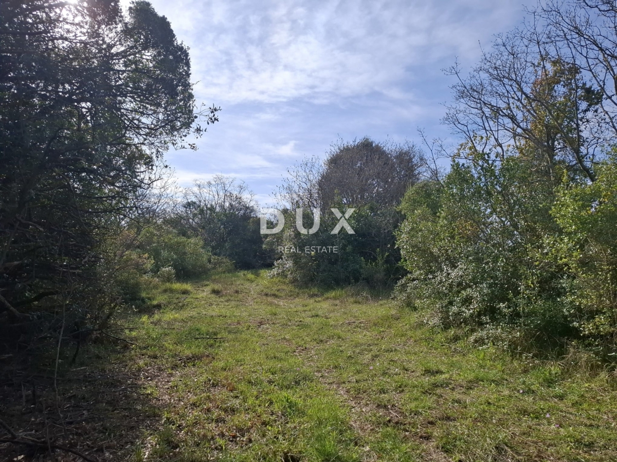 ISTRIA, ROVIGNO - Terreno agricolo vicino al mare