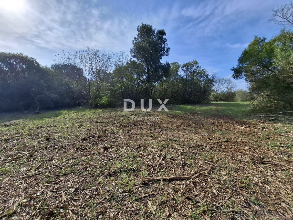 ISTRIA, ROVIGNO - Terreno agricolo vicino al mare