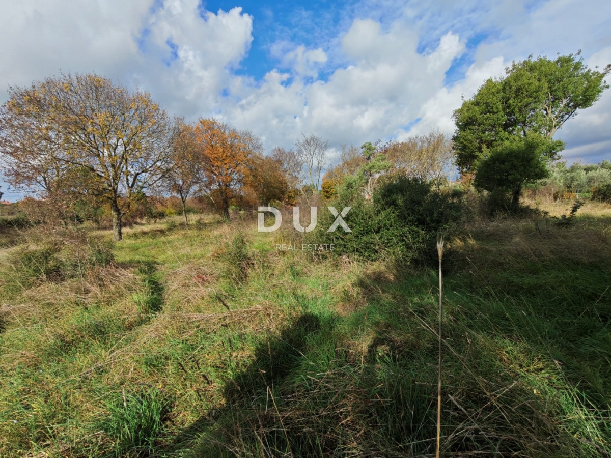 ISTRIA, POLA - Ampio terreno agricolo con fabbricato agricolo!