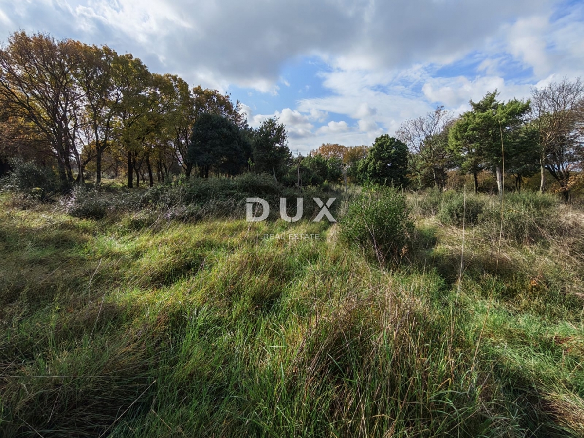 ISTRIA, POLA - Ampio terreno agricolo con fabbricato agricolo!