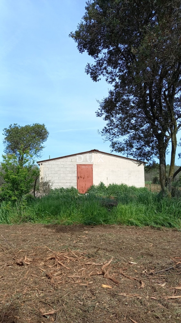 ISTRIA, POLA - Ampio terreno agricolo con fabbricato agricolo!