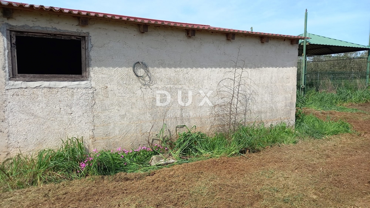 ISTRIA, POLA - Ampio terreno agricolo con fabbricato agricolo!