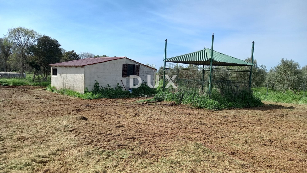 ISTRIA, POLA - Ampio terreno agricolo con fabbricato agricolo!