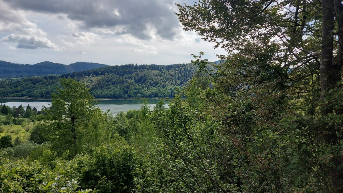 GORSKI KOTAR, FUŽINE - un progetto unico nel cuore del Gorski Kotar, terreno edificabile di 3340 m2 con progetto per una villa, opportunità di investimento!