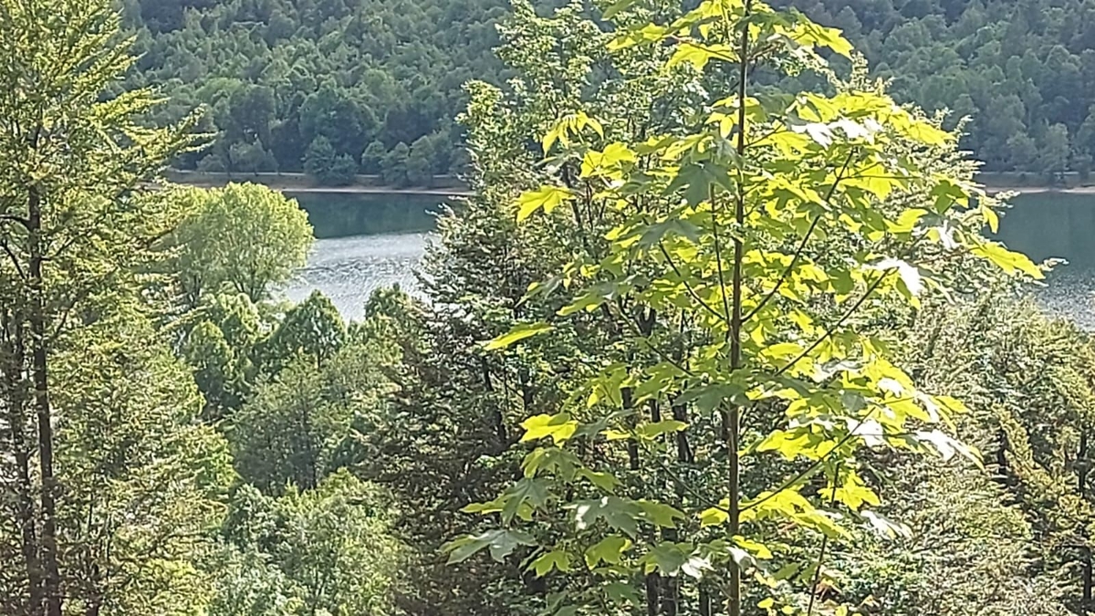 GORSKI KOTAR, FUŽINE - un progetto unico nel cuore del Gorski Kotar, terreno edificabile di 3340 m2 con progetto per una villa, opportunità di investimento!