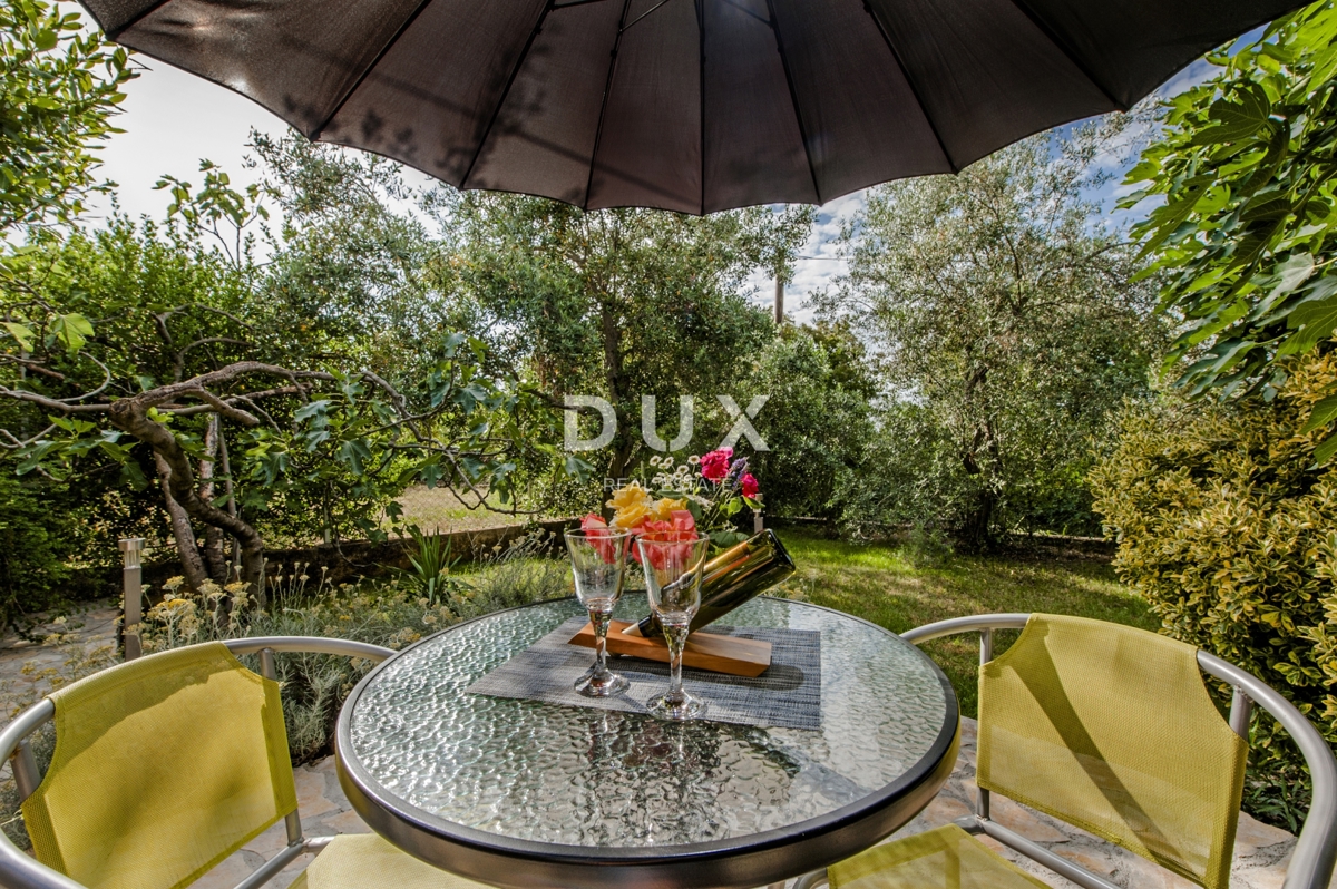 ISTRIA, ROVIGNO - Casa con appartamenti con un bellissimo giardino