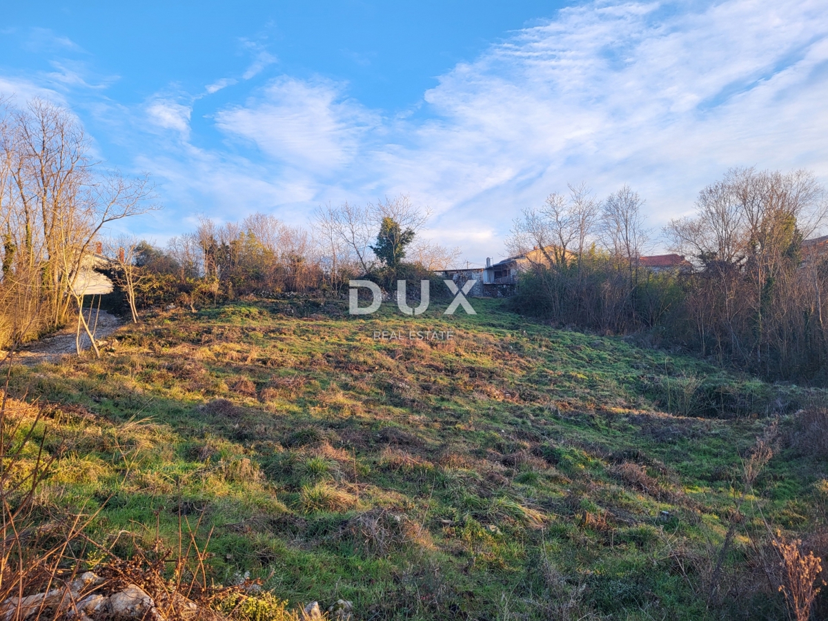 ISTRIA, SOVINJAK - Ampio terreno edificabile con progetto