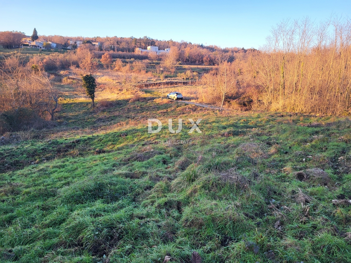 ISTRIA, SOVINJAK - Ampio terreno edificabile con progetto