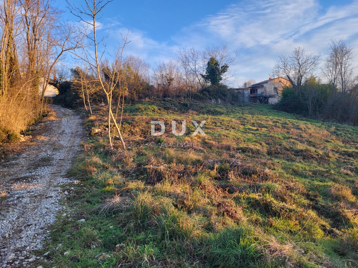 ISTRIA, SOVINJAK - Ampio terreno edificabile con progetto