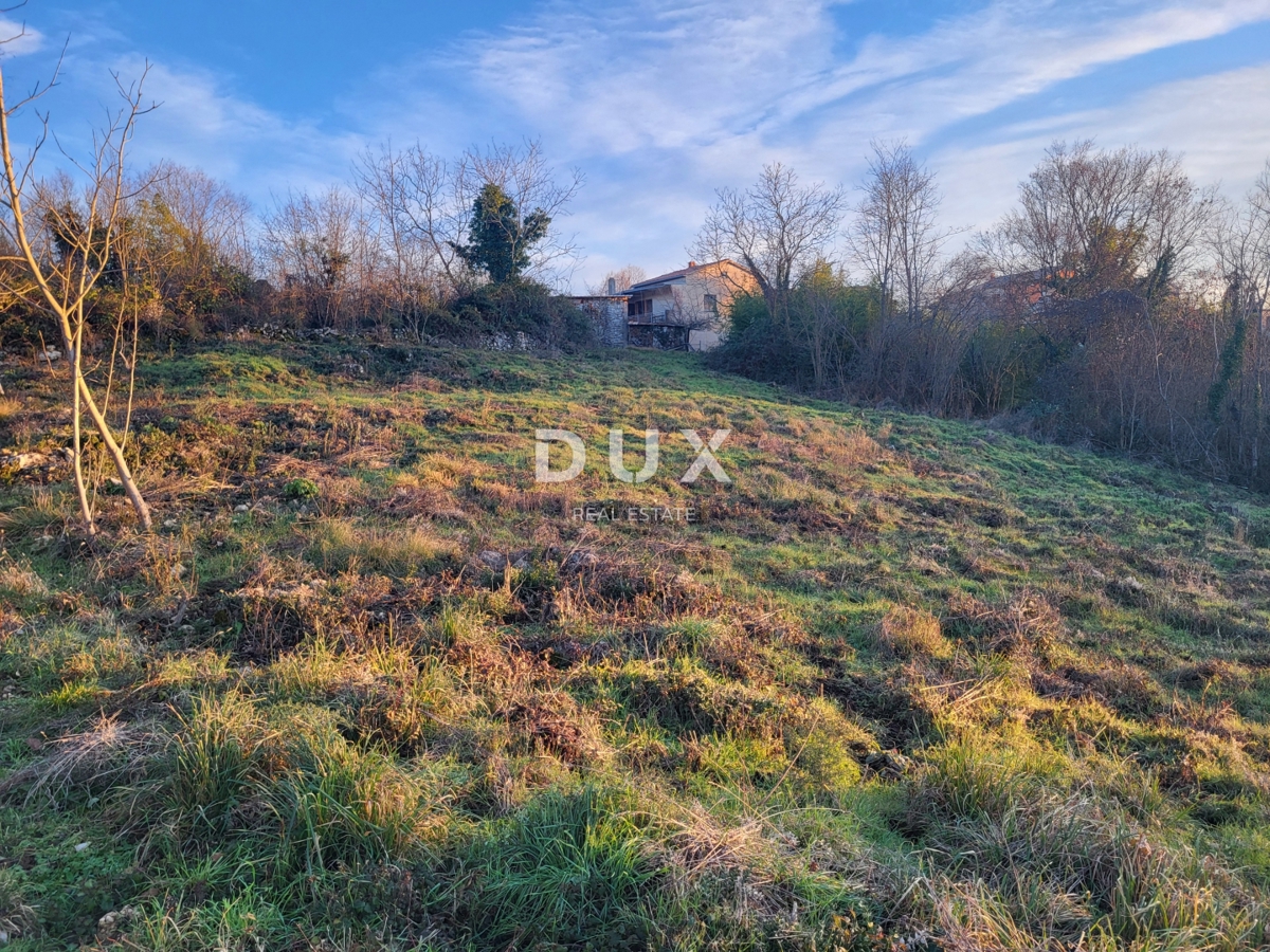 ISTRIA, SOVINJAK - Ampio terreno edificabile con progetto