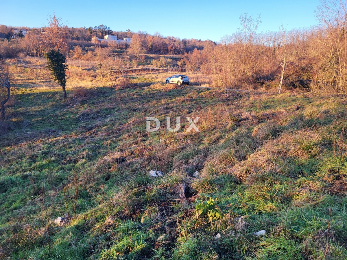 ISTRIA, SOVINJAK - Ampio terreno edificabile con progetto