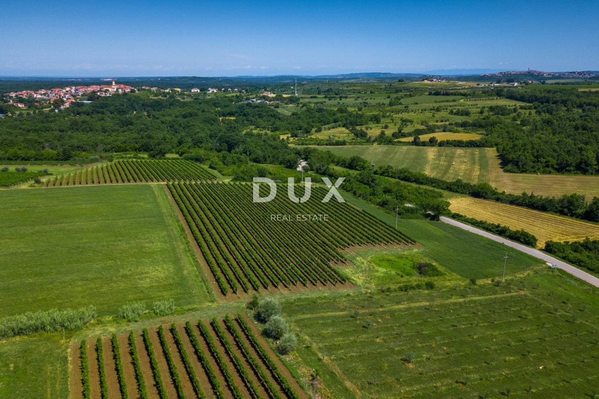 ISTRIA, VERTENIGLA – Due ville di lusso con piscina in un ambiente tranquillo