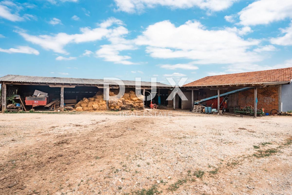 VRGINMOST, BLATUŠA - Una grande proprietà con un'attività ben avviata! 40 ettari di terreno!