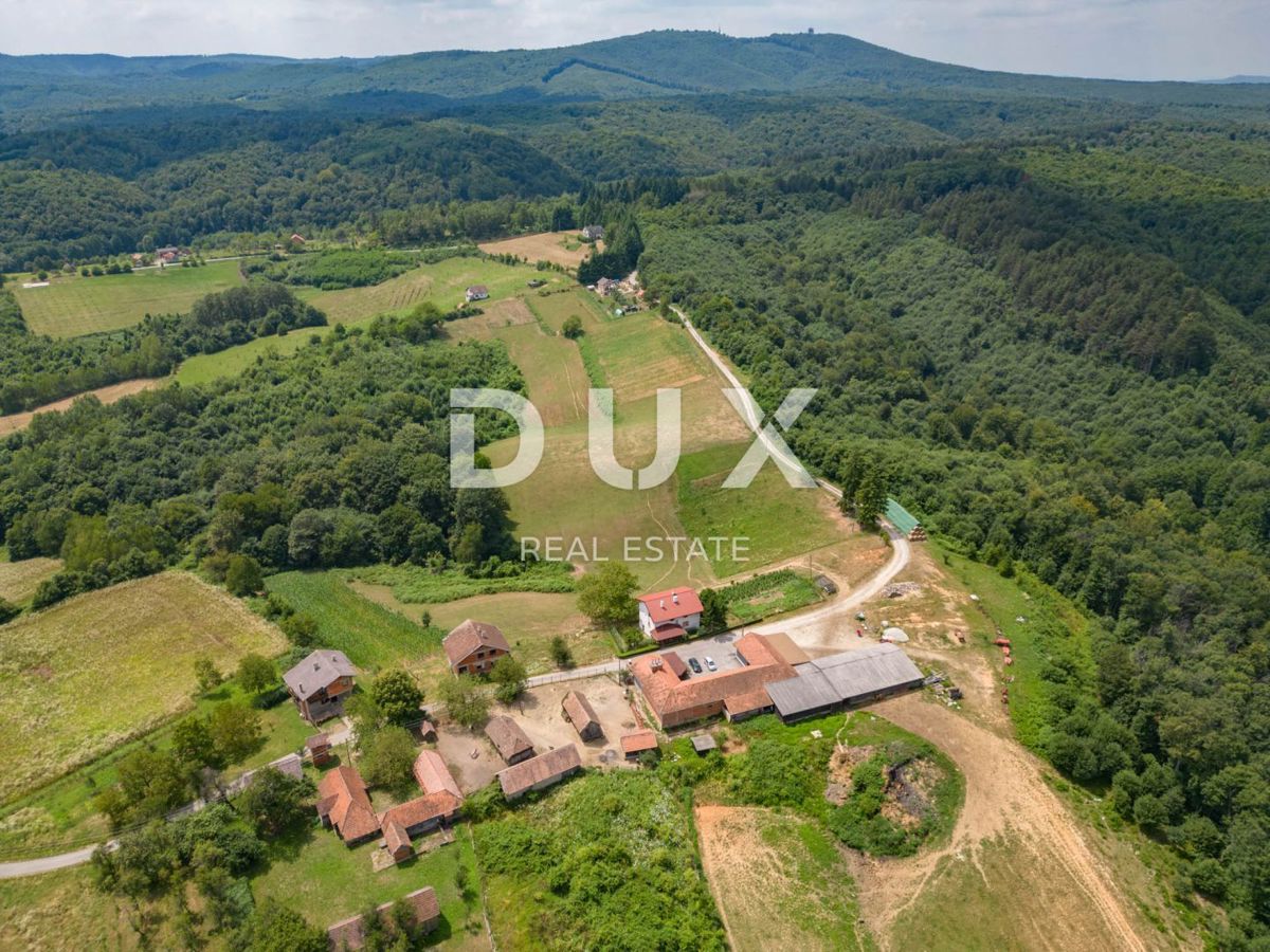 VRGINMOST, BLATUŠA - Una grande proprietà con un'attività ben avviata! 40 ettari di terreno!