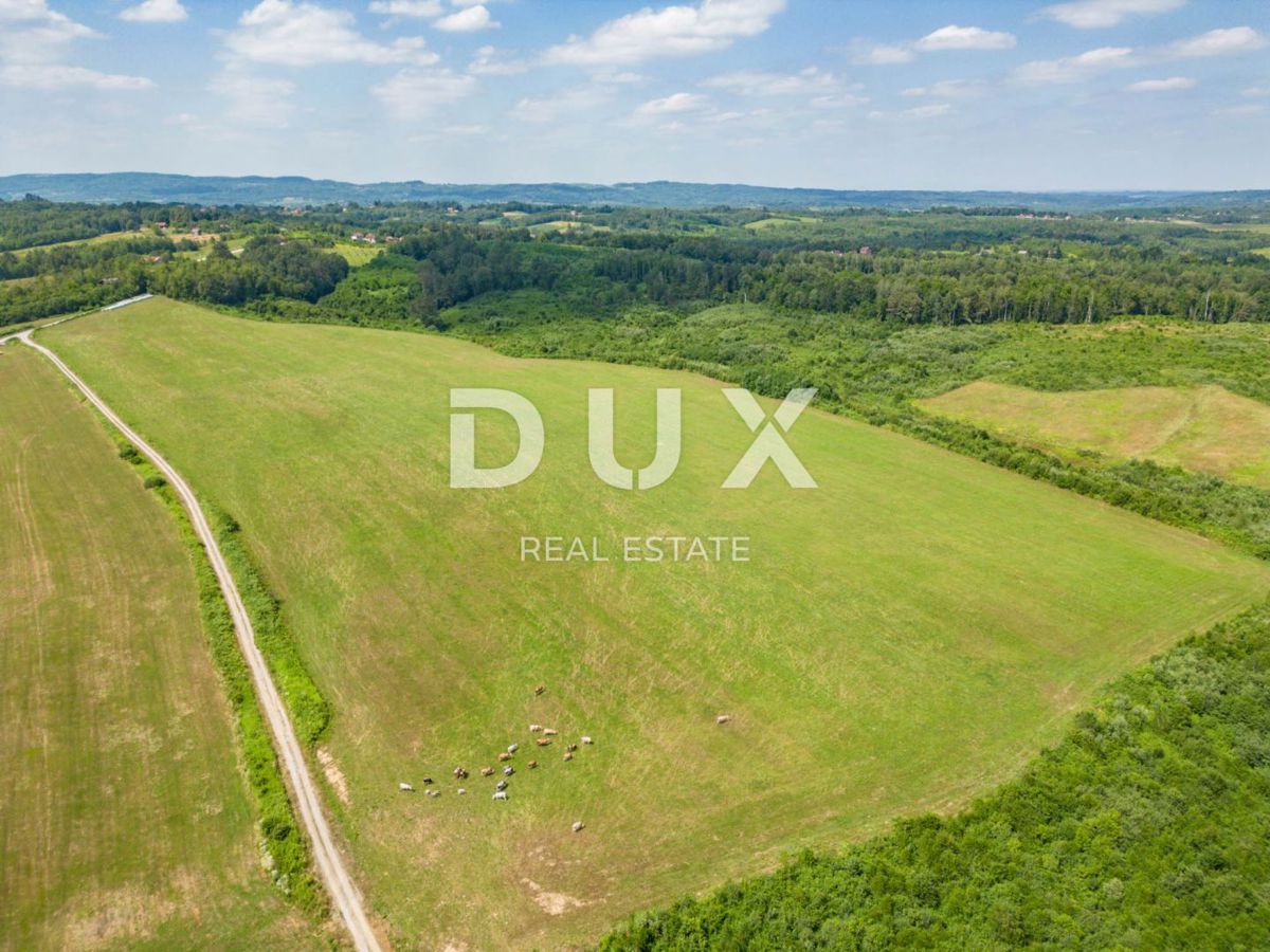 VRGINMOST, BLATUŠA - Una grande proprietà con un'attività ben avviata! 40 ettari di terreno!