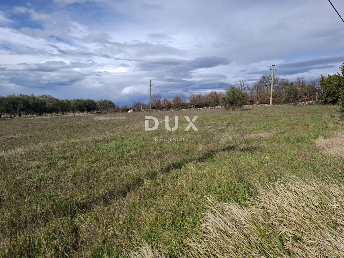 ISTRIA, LOVREČ - Terreno edificabile