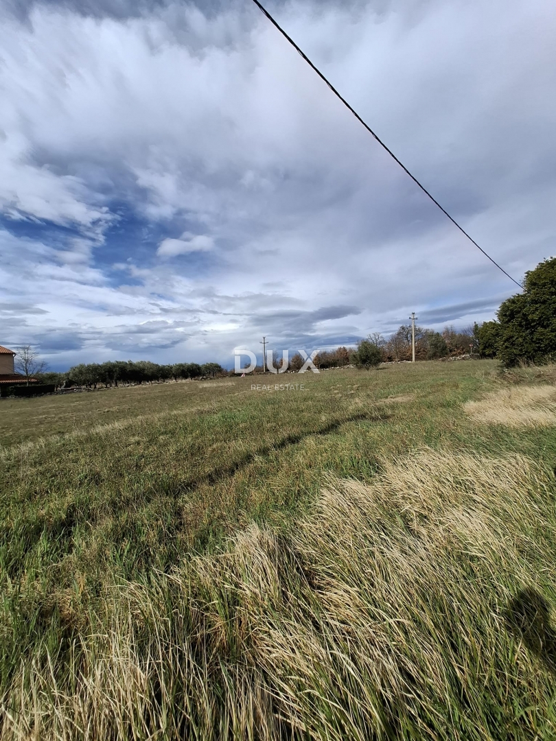 ISTRIA, LOVREČ - Terreno edificabile