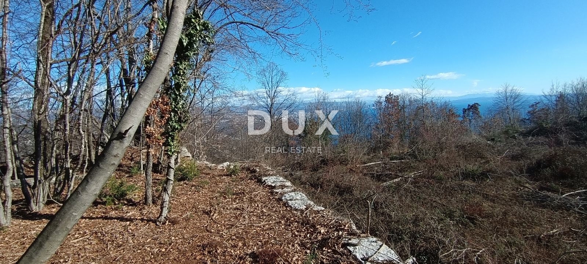 OPATIJA, BREGI - terreno edificabile di 6432 m2 (area edificabile 2355 m² e area agricola 4077 m²) con vista panoramica sul mare