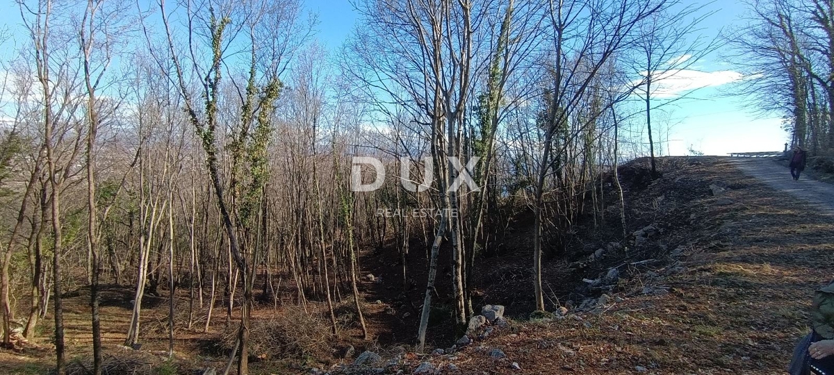 OPATIJA, BREGI - terreno edificabile di 6432 m2 (area edificabile 2355 m² e area agricola 4077 m²) con vista panoramica sul mare