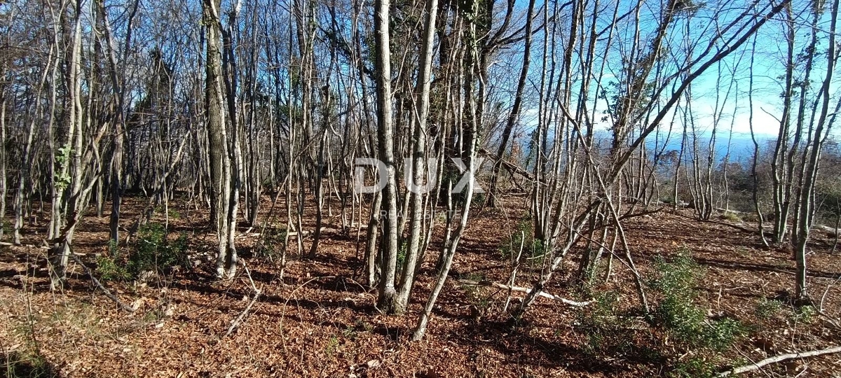 OPATIJA, BREGI - terreno edificabile di 6432 m2 (area edificabile 2355 m² e area agricola 4077 m²) con vista panoramica sul mare