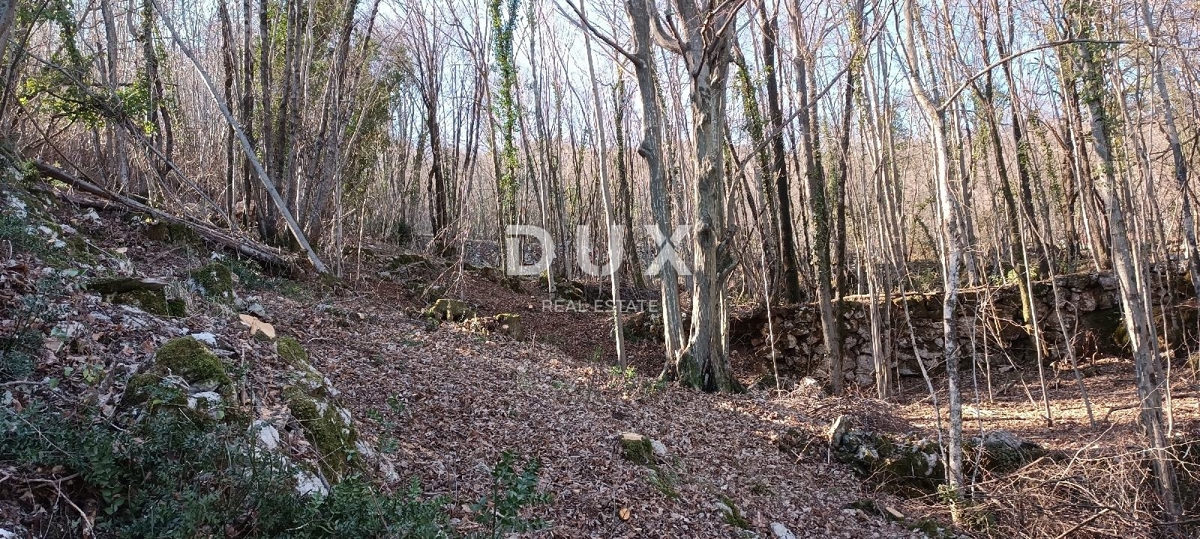 OPATIJA, BREGI - terreno edificabile di 6432 m2 (area edificabile 2355 m² e area agricola 4077 m²) con vista panoramica sul mare