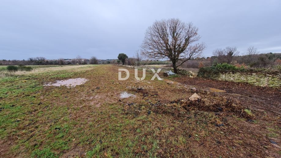 ISTRIA, POLA - Terreno agricolo 3700 m2