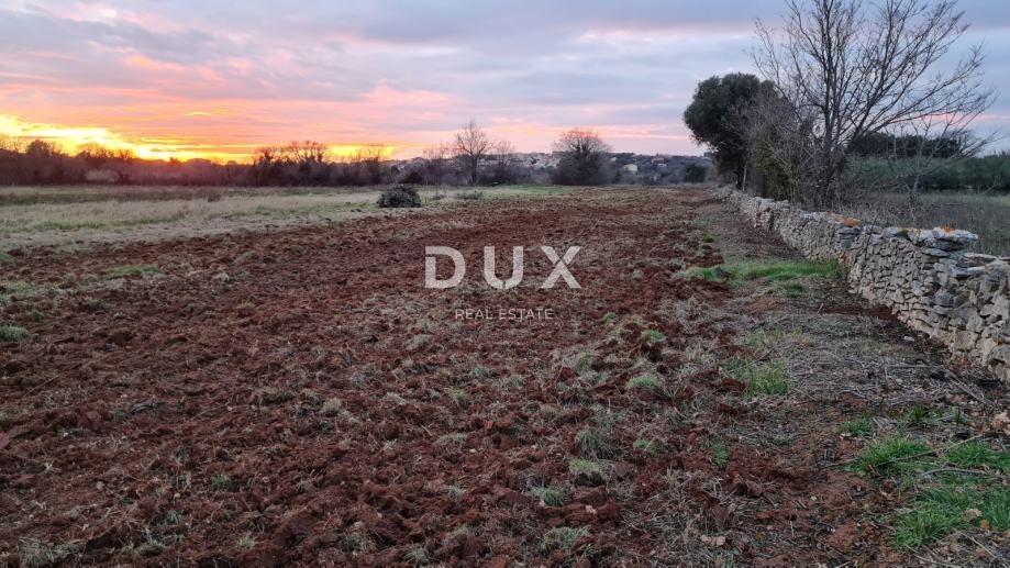 ISTRIA, POLA - Terreno agricolo 3700 m2