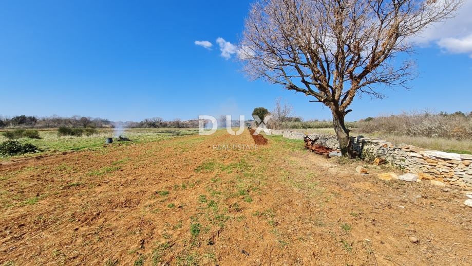 ISTRIA, POLA - Terreno agricolo 3700 m2
