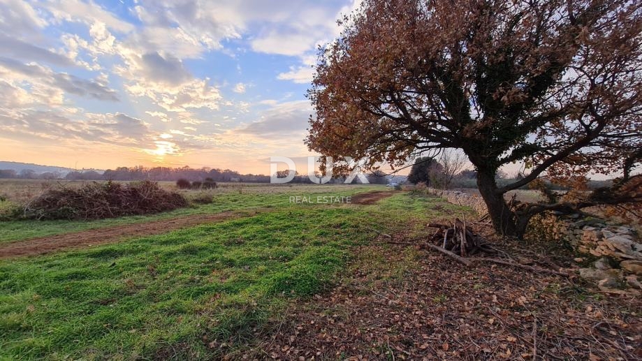 ISTRIA, POLA - Terreno agricolo 3700 m2