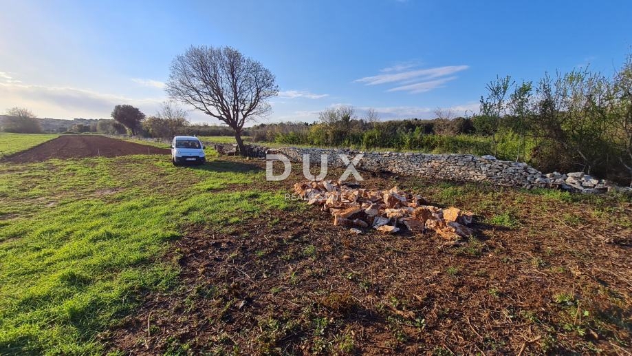 ISTRIA, POLA - Terreno agricolo 3700 m2