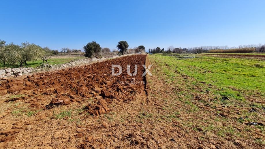 ISTRIA, POLA - Terreno agricolo 3700 m2