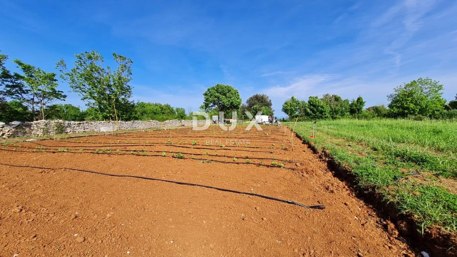 ISTRIA, POLA - Terreno agricolo 3700 m2