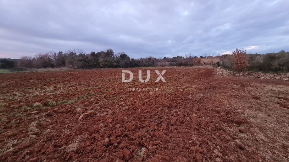 ISTRIA, POLA - Terreno agricolo 3700 m2