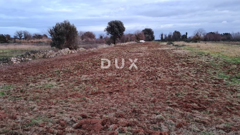 ISTRIA, POLA - Terreno agricolo 3700 m2