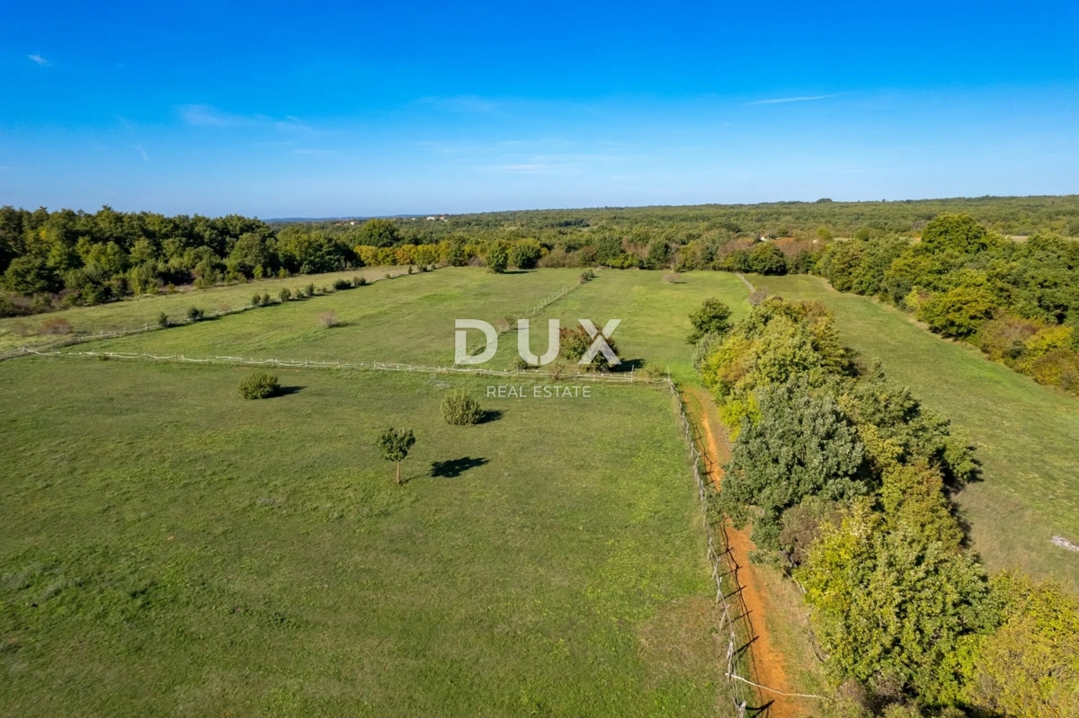 ISTRIA, SVETVINČENAT - Spaziosa tenuta istriana